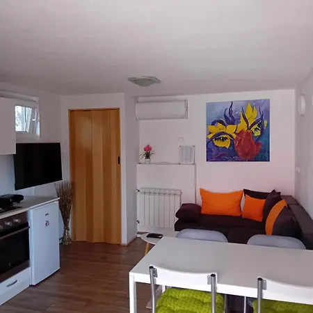 Dezire Apartment Buje